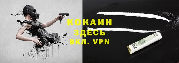 сатива Дмитров