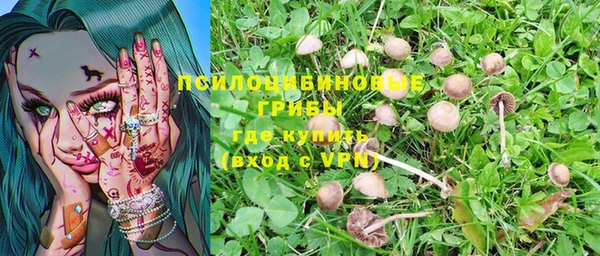 гашик Гусев