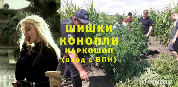 прущие крисы Дмитриев