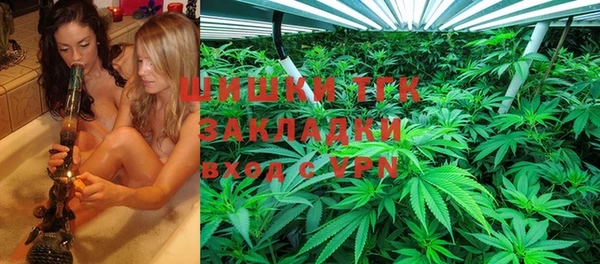 гидропоника Гусиноозёрск