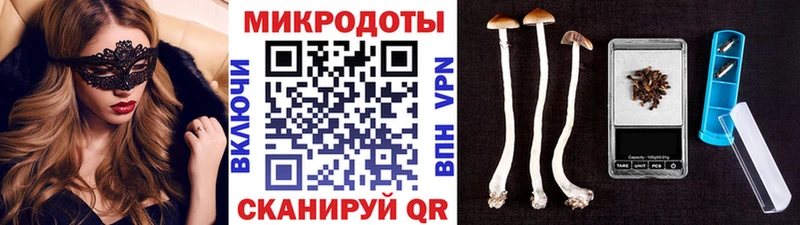 Галлюциногенные грибы Psilocybe  Балаково 