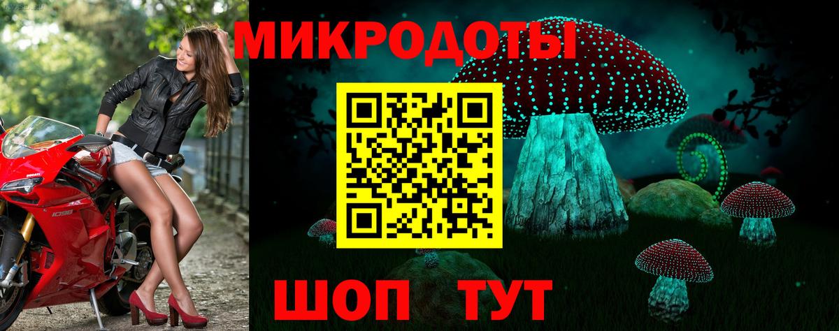 Псилоцибиновые грибы GOLDEN TEACHER Балаково