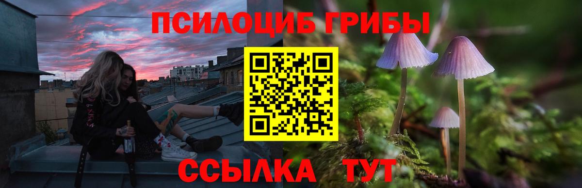 Псилоцибиновые грибы ЛСД  купить наркотики цена  Балаково  Вход с VPN 